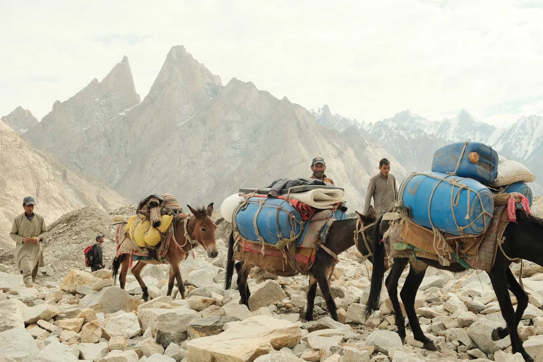 Pakistan Karakoram Trekking The Wildlinger K2 basecamp Broad Peak basecamp Gondogoro La