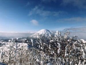 Freeride Japan Hokkaido The Wildlinger