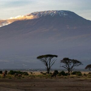 Kilimanjaro The Wildlinger trekking Tanzania