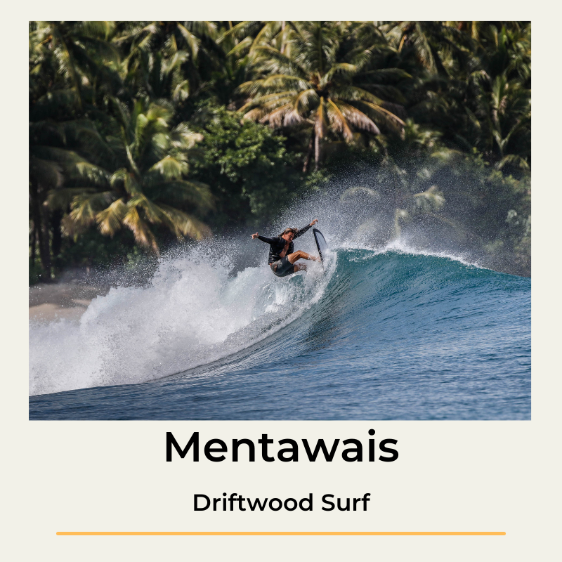 Mentawais Driftwood Surf surfreis surftrip surfvakantie surfen The Wildlinger