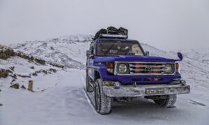 Deosai Pulka Trekking Pakistan The Wildlinger