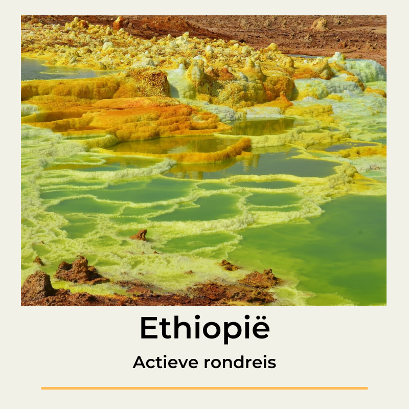 Ethiopie The Wildlinger Actieve Rondreis Danakil Simien Lalibela