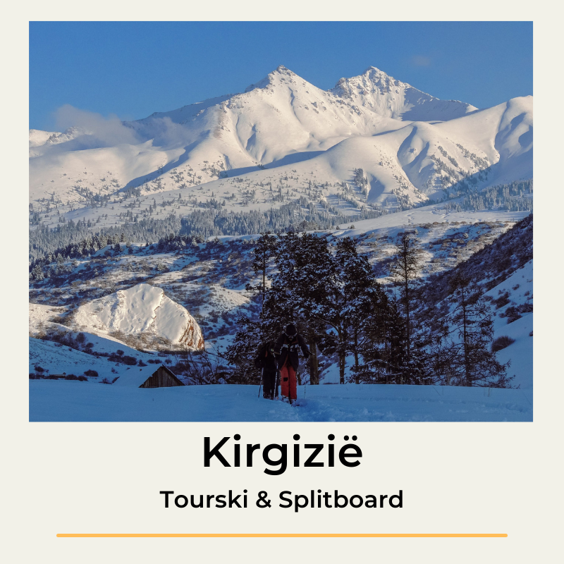 the wildlinger tourski splitboard kirgizië kirgistan freeride