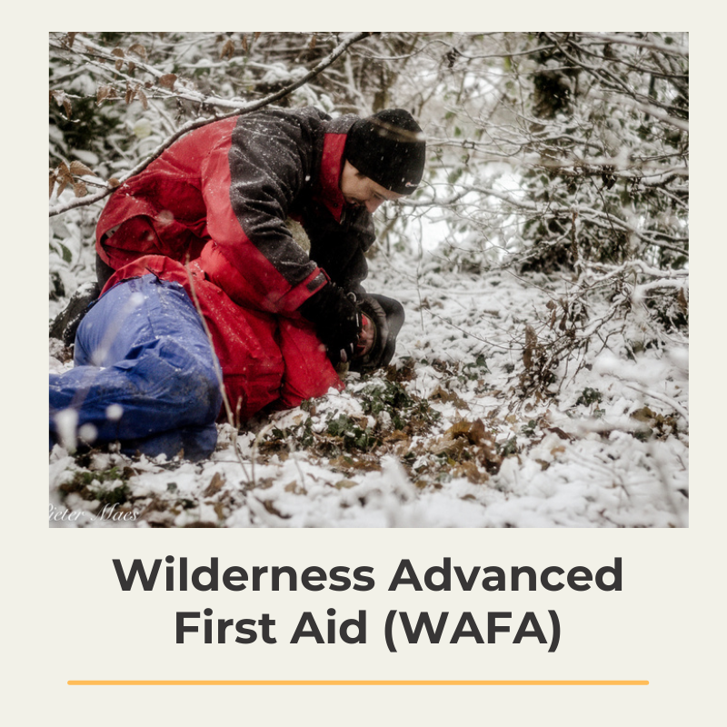 WAFA wilderness first aid ehbo the wildlinger opleiding