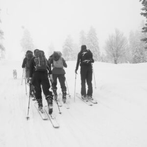 tourski & splitboard georgie the wildlinger